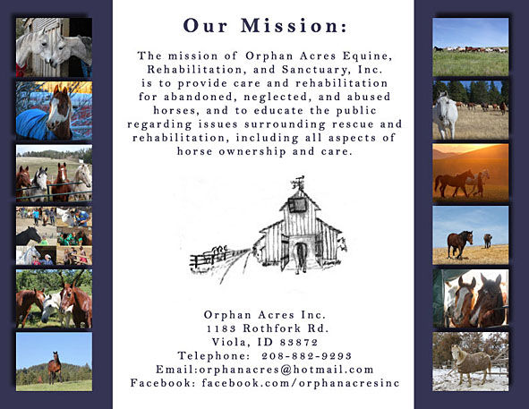 calendar orphan acres equine rescue and rehab sanctuary